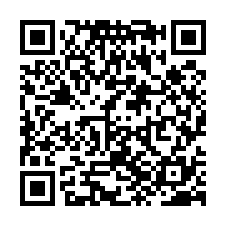 QR code for ZZO535