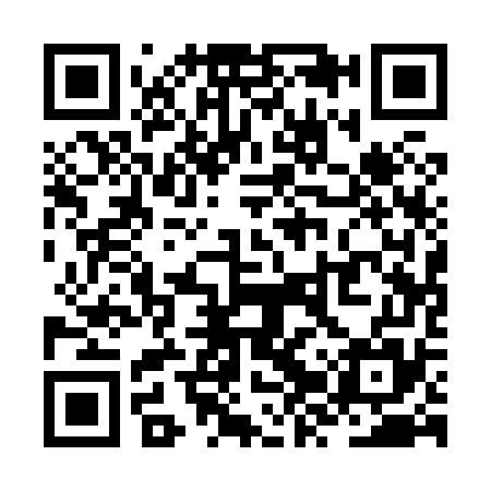 QR code for ZZQ875