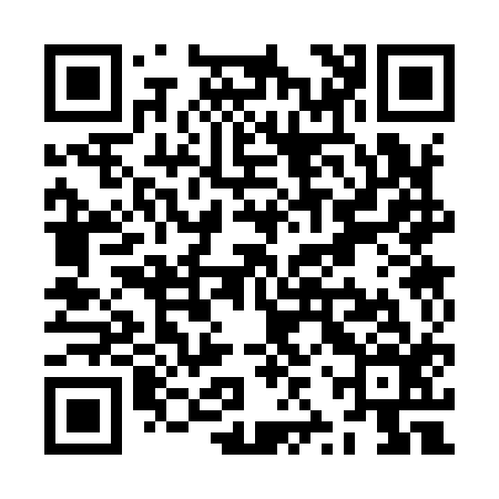 QR code for ZZS916