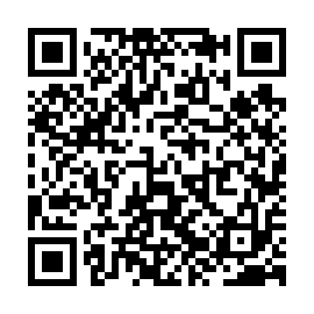 QR code for ZZV613