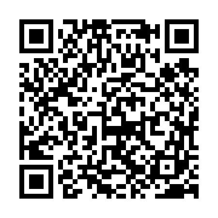 QR code for ZZZ663