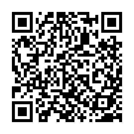 QR code for 0013MI