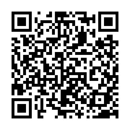 QR code for 0017PI