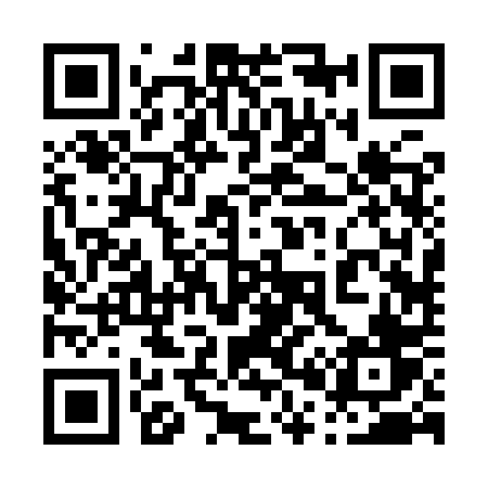 QR code for 0029PV