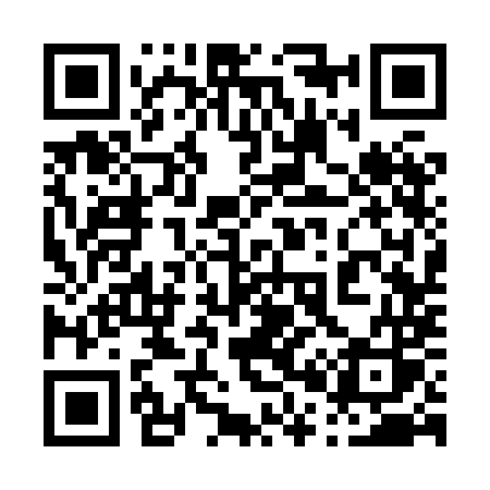 QR code for 0038MS