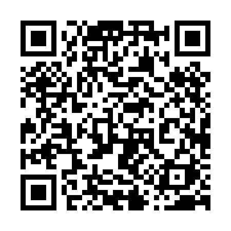 QR code for 0100BI
