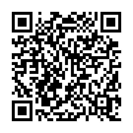 QR code for 0113IF