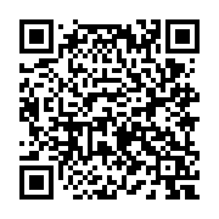 QR code for 0196HS