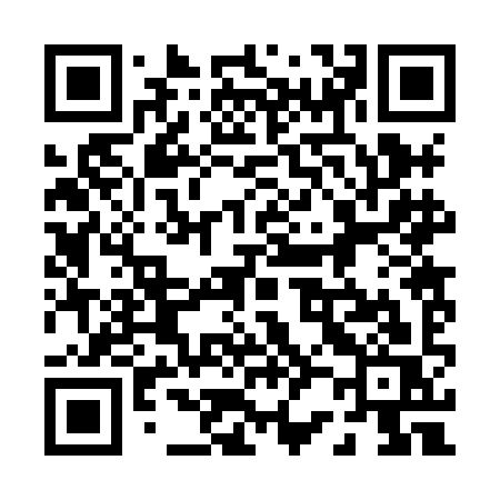 QR code for 0228IS