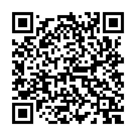 QR code for 0229PP