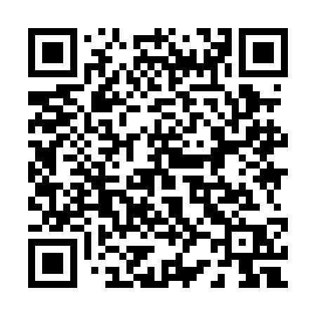QR code for 0290CP