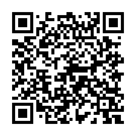 QR code for 0290LS
