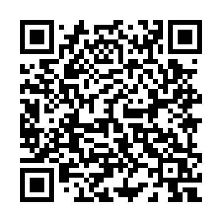 QR code for 0290XS
