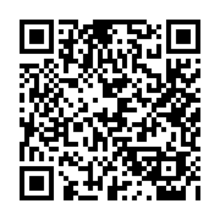 QR code for 0295MA