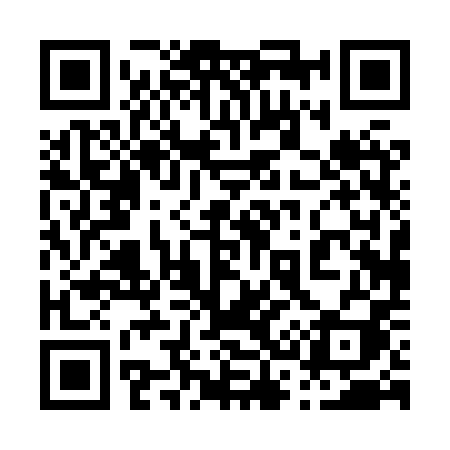 QR code for 0308PI