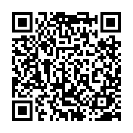 QR code for 0313OL