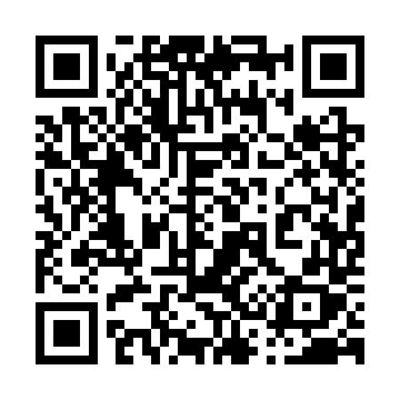 QR code for 0313TX