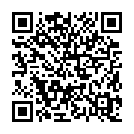 QR code for 0313XM