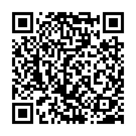 QR code for 0313YY
