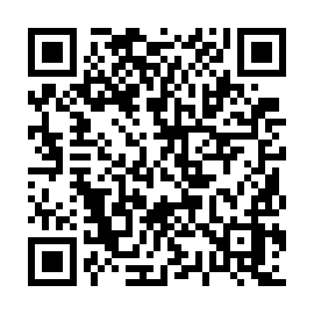 QR code for 0317IZ