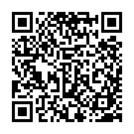 QR code for 0325IC