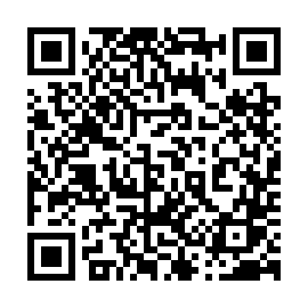 QR code for 0333DS