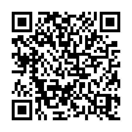 QR code for 0336SP