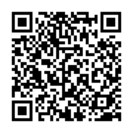 QR code for 0368QI