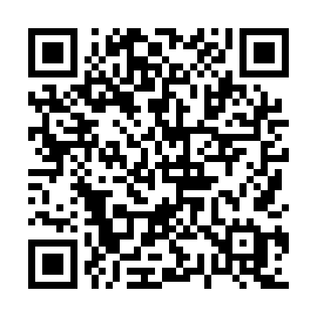 QR code for 0381DE