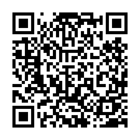 QR code for 0384EU