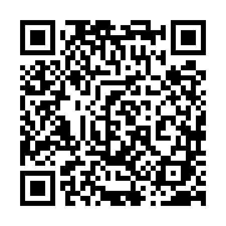 QR code for 0385TI