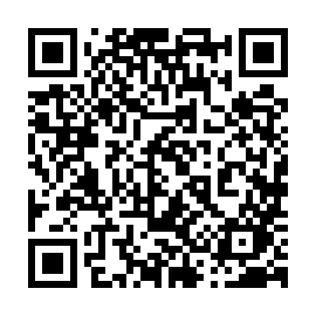 QR code for 0385XO
