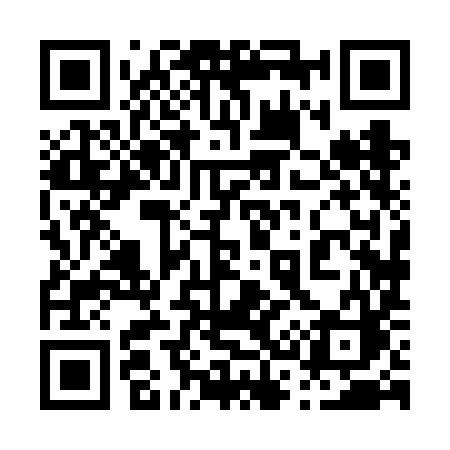 QR code for 0386IC