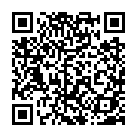 QR code for 0387PI