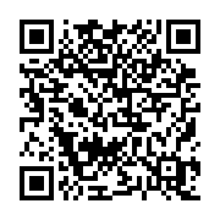 QR code for 0393BG