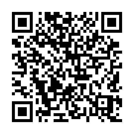 QR code for 0393IQ