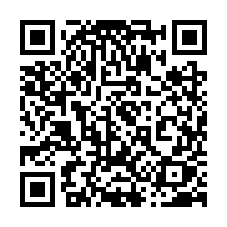 QR code for 0393UX