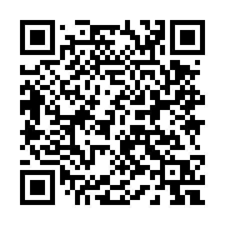 QR code for 0394SP