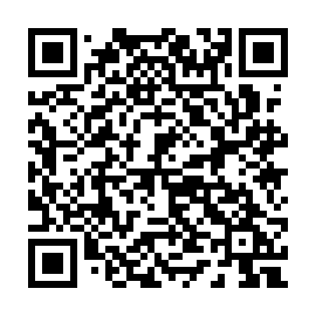 QR code for 0411BG
