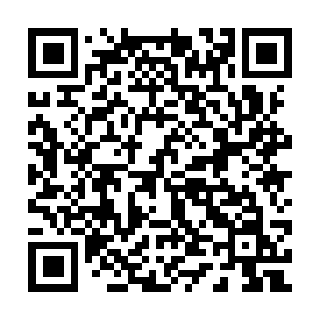 QR code for 0419SN