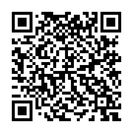 QR code for 0438BW