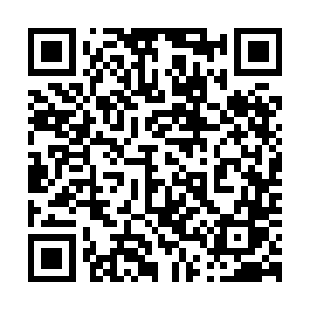 QR code for 0438DS