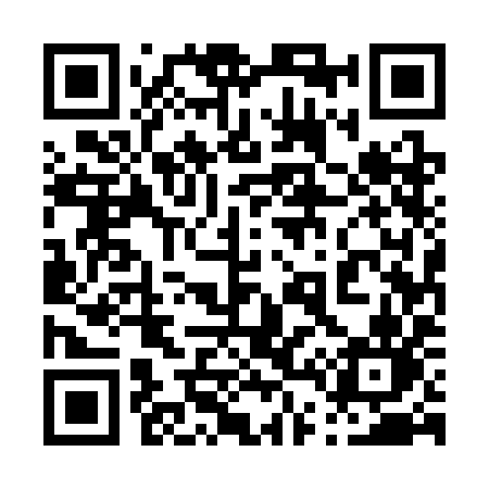 QR code for 0453IN