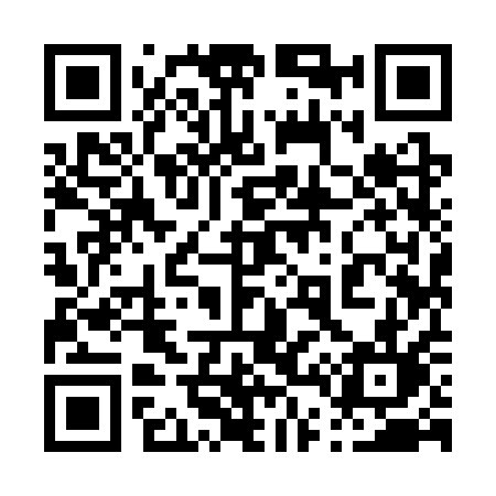 QR code for 0493QL