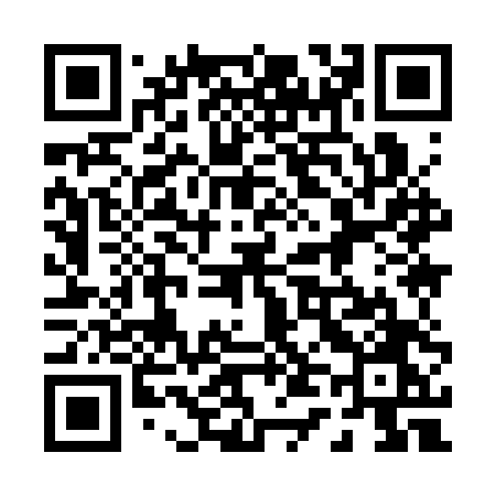 QR code for 0493TO
