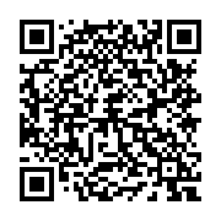 QR code for 0498VI