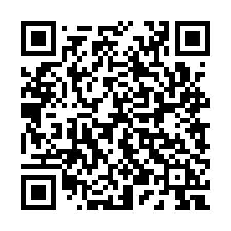 QR code for 0541PH