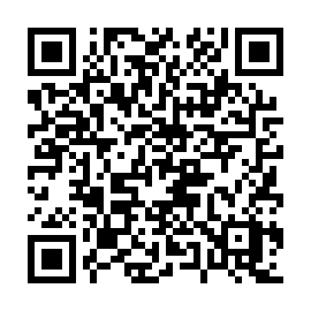 QR code for 0541SX