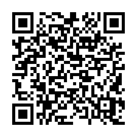 QR code for 0595LT
