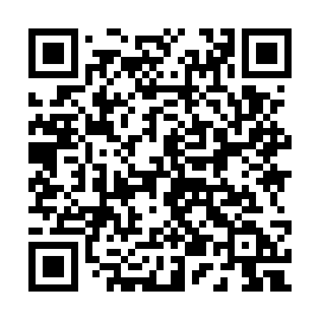 QR code for 0595SD